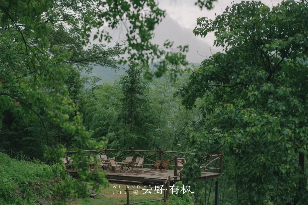 DƬ